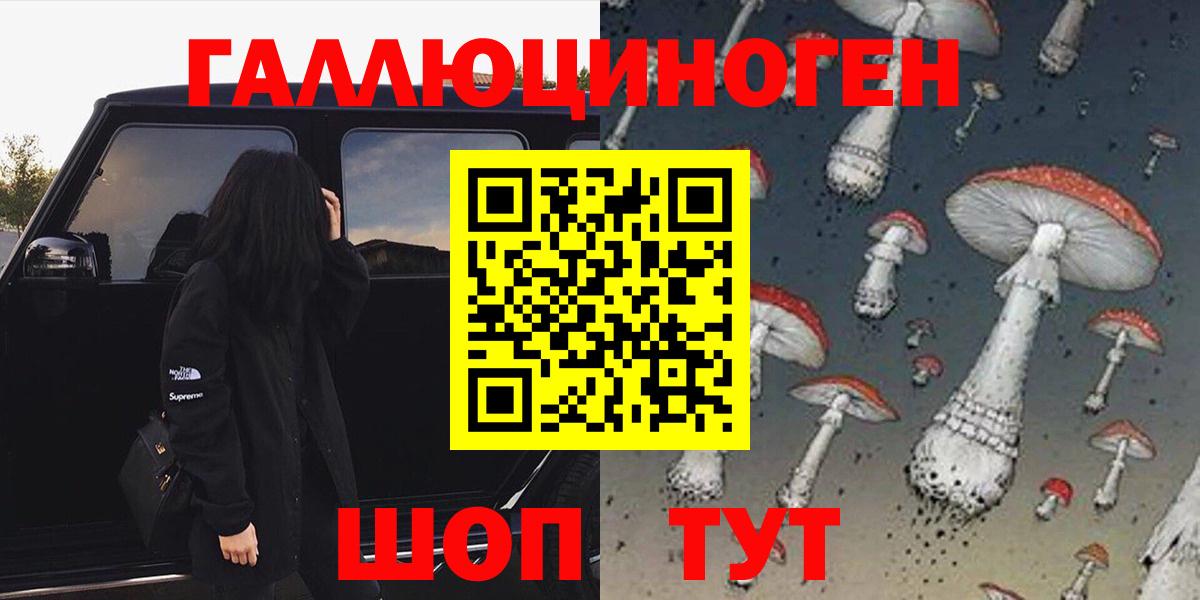 Псилоцибиновые грибы Psilocybe  Вход с VPN  Кропоткин 